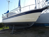 SEA FINN 411