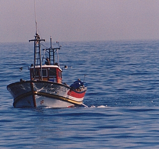 Bateaux de pêche rencontrés en mer