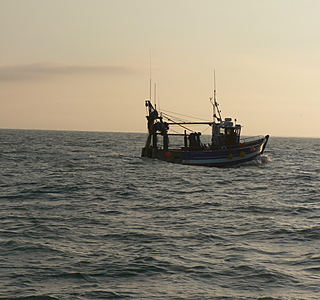 Bateaux de pêche rencontrés en mer