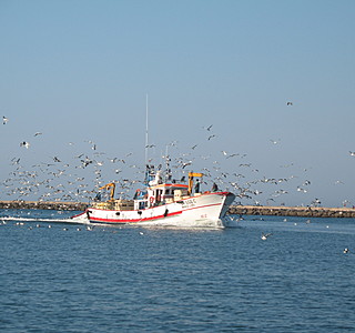 Bateaux de pêche