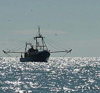 Bateaux de pêche